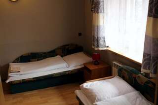 Мотели Bar Malwa Александрув-Лудзки Стандартный двухместный номер с 2 отдельными кроватями-5